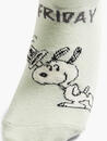 Bild 3 von Peanuts 7er Pack Socken