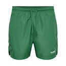 Bild 1 von Hmllgc Ned Swim Shorts Badeshorts Herren