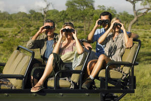 Rundreisen Südafrika: Rundreise von Johannisburg bis Kapstadt inkl. Safari im Minibus im Krüger Nationalpark