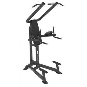 Power Tower Evolve Fitness Pull-Up & Dip Station BN-219