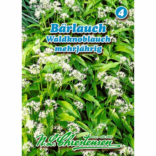 Bild 1 von Bärlauch, Waldknoblauch