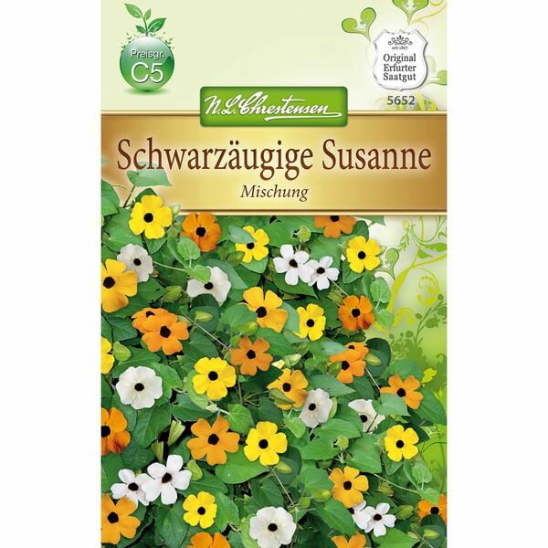 Bild 1 von Thunbergia Schwarzäugige Susanne, Mischung