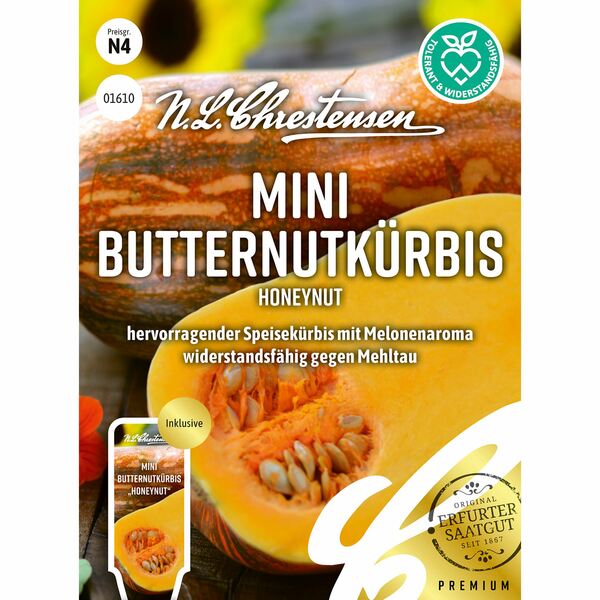 Bild 1 von Mini 
Butternutkürbis Honeynut