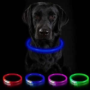 Nepfaivy Leuchthalsband für Hund USB Aufladbar - Leuchtendes