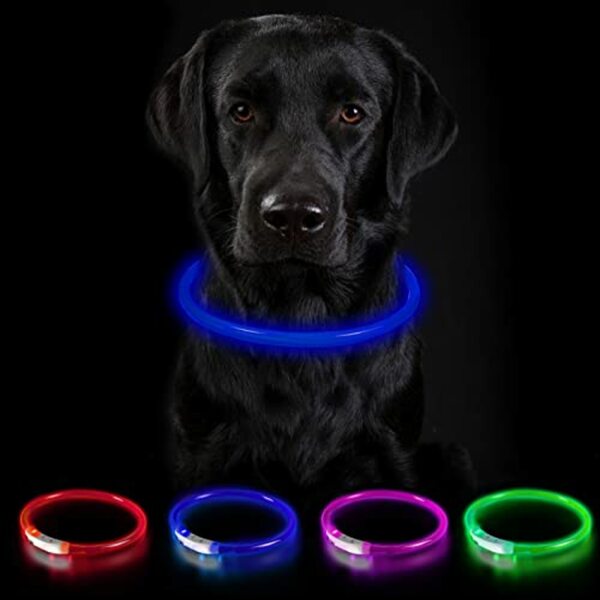 Bild 1 von Nepfaivy Leuchthalsband für Hund USB Aufladbar - Leuchtendes