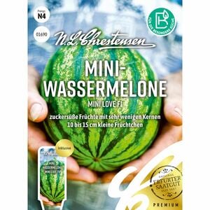 Mini-
Wassermelone Mini love F1