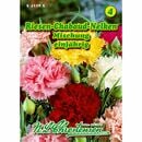 Bild 1 von Dianthus, Riesen-Chabaud-Nelken, Mischung