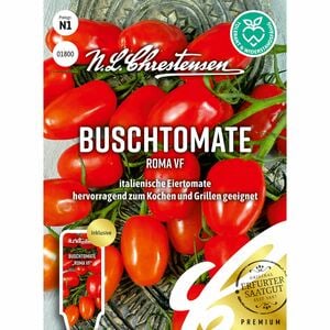 Buschtomate Roma VF