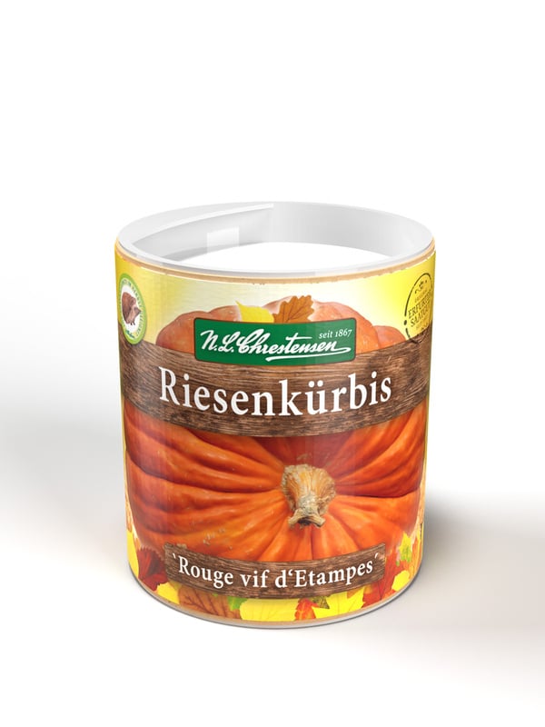 Bild 1 von Dose | Riesenkürbis `Rouge vif d´Etampes´