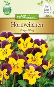 Viola cornuta Hornveilchen, Purple Wing