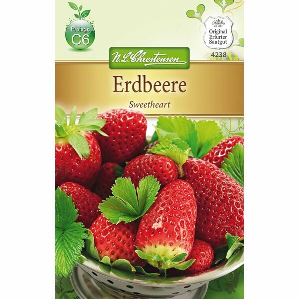 Bild 1 von Erdbeeren Sweetheart