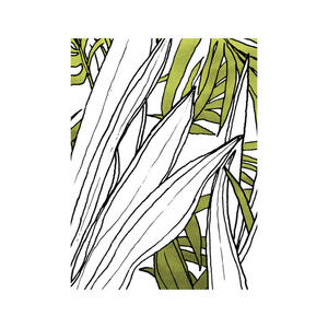 Komar Wandbild Bleached Leaves Palmen B/L: ca. 40x50 cm