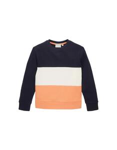 TOM TAILOR - Mini Boys Sweatshirt mit Colour Blocking