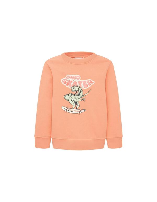 Bild 1 von TOM TAILOR - Mini Boys Sweatshirt mit Flock-Druck