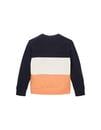 Bild 2 von TOM TAILOR - Mini Boys Sweatshirt mit Colour Blocking