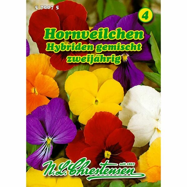 Bild 1 von Viola cornuta, Hornveilchen, Hybriden gemischt