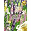 Bild 1 von Staudenlupine Rabatten Mix