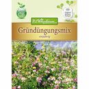 Bild 1 von Gründüngungsmix Phacelia, Buchweizen, Alexandrinerklee, Perserklee, Serradella