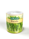 Bild 1 von Dose | Rucola