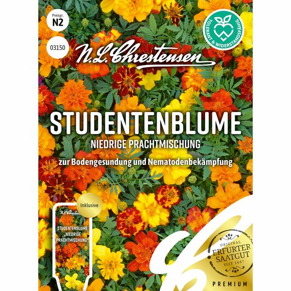 Bild 1 von Studentenblume Niedrige Prachtmischung