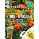 Bild 1 von Studentenblume Honeycomb