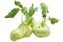 Bild 1 von Kohlrabi