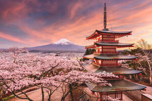 Rundreisen Japan: Rundreise von Osaka bis Nikko inkl. Fuji Hakone Nationalpark