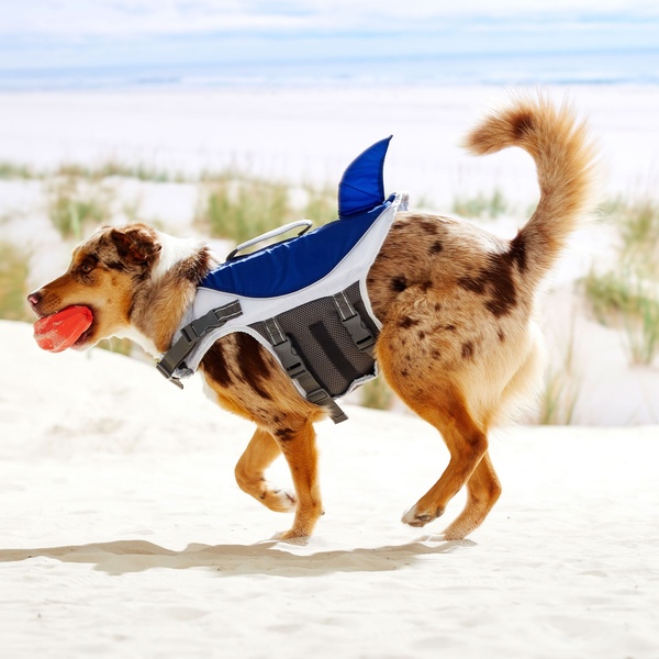 Bild 4 von ROMEO Hunde-Schwimmweste