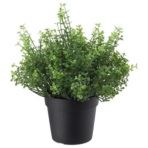 FEJKA  Topfpflanze, künstlich, drinnen/draußen Bubikopf