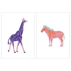 BILD  Bild, Giraffe & Zebra