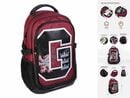 Bild 1 von Harry Potter Rucksack Schulrucksack Harry Potter Rot 31 x 47 x 24 cm