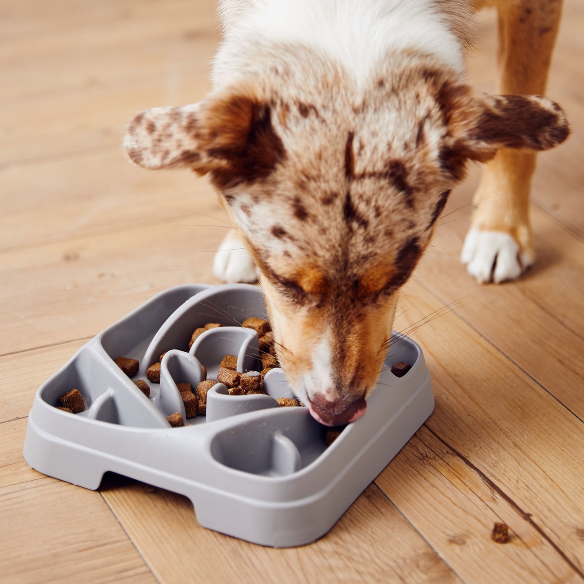 Bild 3 von ROMEO Anti-Schlingnapf