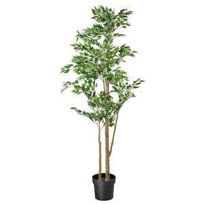 FEJKA  Topfpflanze, künstlich, drinnen/draußen Ficus grünlaubig
