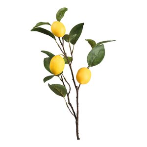 Zweig Citrus ca.60cm, gelb