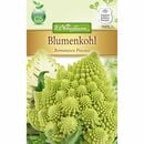 Bild 1 von Blumenkohl Romanesco Precoce