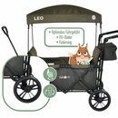 Bild 3 von FableKids Bollerwagen LEO X2Lite mit Dach, faltbarer, Transportwagen, in 3 Farben (Stück, Safari Grün)