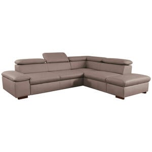 Cantus ECKSOFA Braun