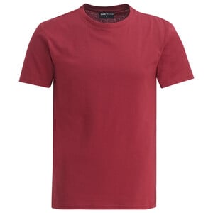 Herren T-Shirt im Basic-Look