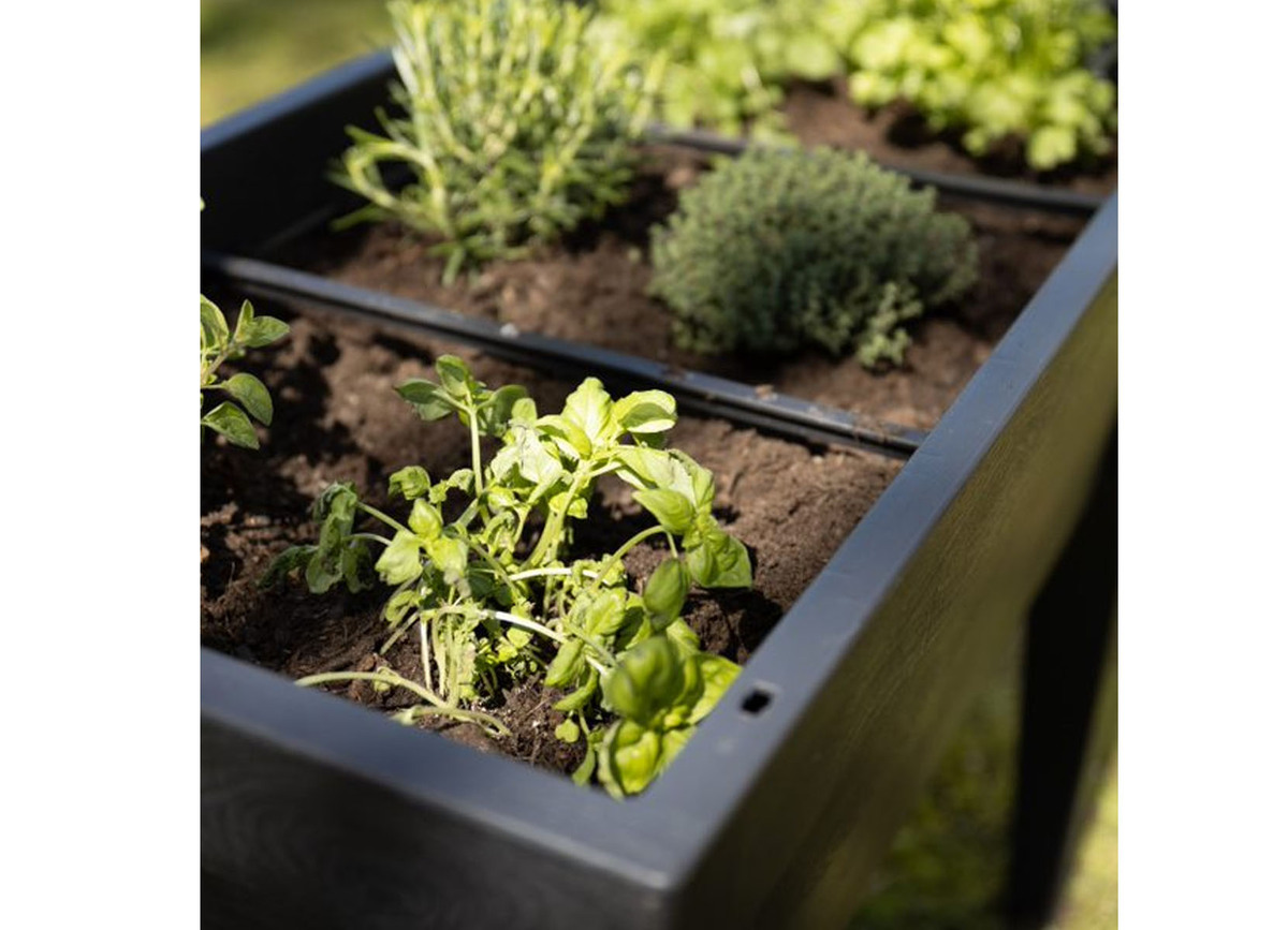 Bild 3 von Grüner Jan XXL-Hochbeet mit Gewächshaus-Effekt 100x106x49cm