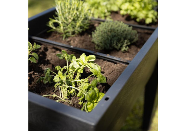 Bild 3 von Grüner Jan XXL-Hochbeet mit Gewächshaus-Effekt 100x106x49cm