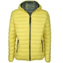 Bild 1 von Herren Steppjacke