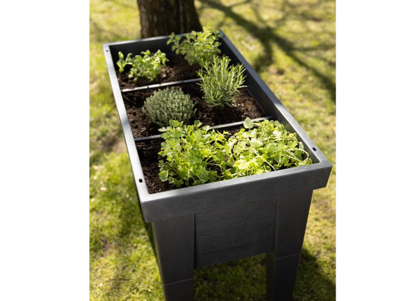 Bild 4 von Grüner Jan XXL-Hochbeet mit Gewächshaus-Effekt 100x106x49cm