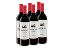 Bild 1 von 6 x 0,75-l-Flasche Weinpaket Andean Vineyards Malbec Argentinien trocken, Rotwein
