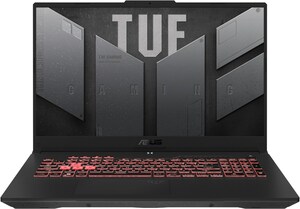TUF Gaming A17 FA707RR-HX018W 43,9 cm (17,3") Notebook jaeger gray