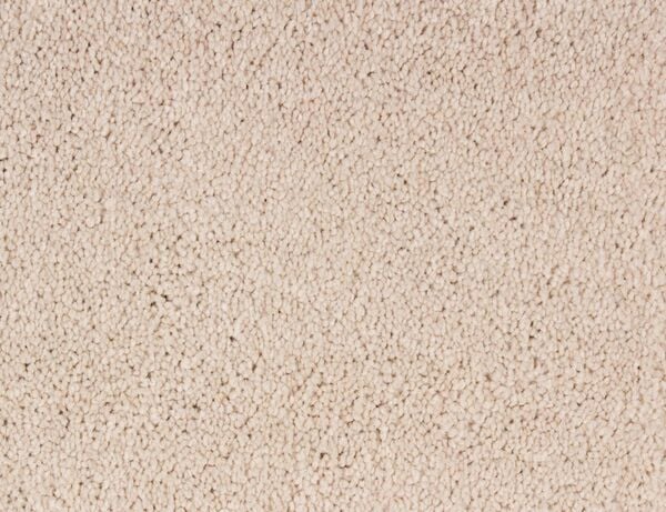 Bild 1 von Teppichboden Aberdeen Beige