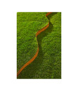 Bild 4 von bellissa Rasenkante Corten, 118 cm