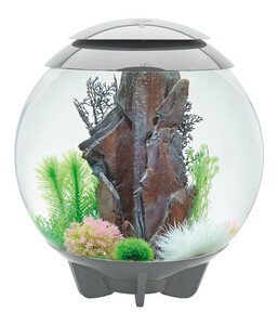 biOrb® Aquarium HALO 60 MCR
