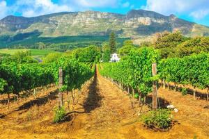 Rundreisen Südafrika - Kapregion Winelands: Kleingruppen-Rundreise ab/an Kapstadt inkl. 4 Übernachtungen in Kapstadt
