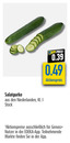 Bild 1 von Salatgurke