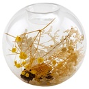 Bild 2 von CASA DECO Trockenblumen im Glas